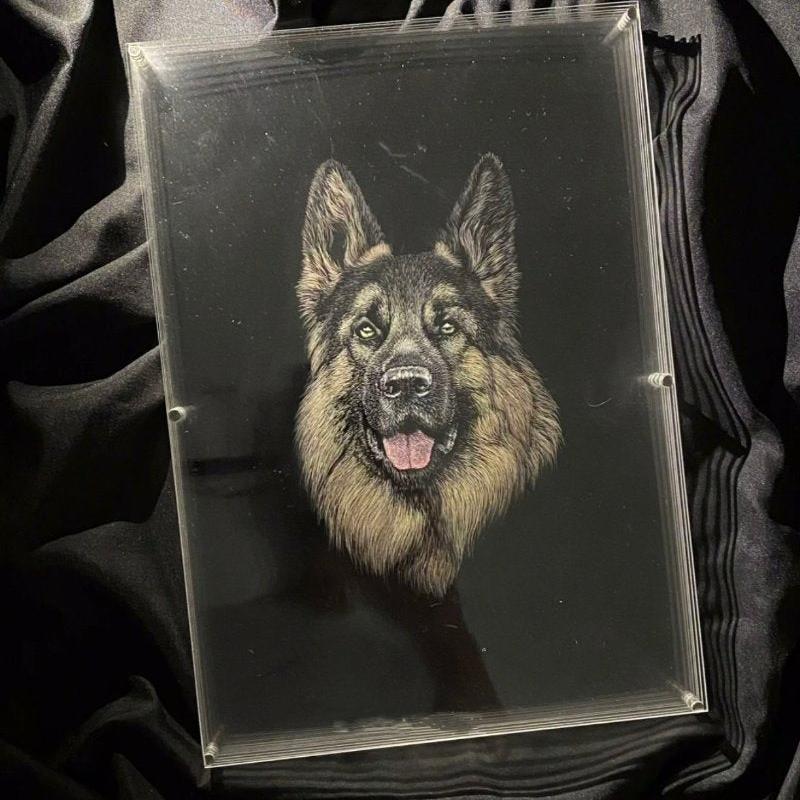 An acrylic portrait of a German Shepherd dog