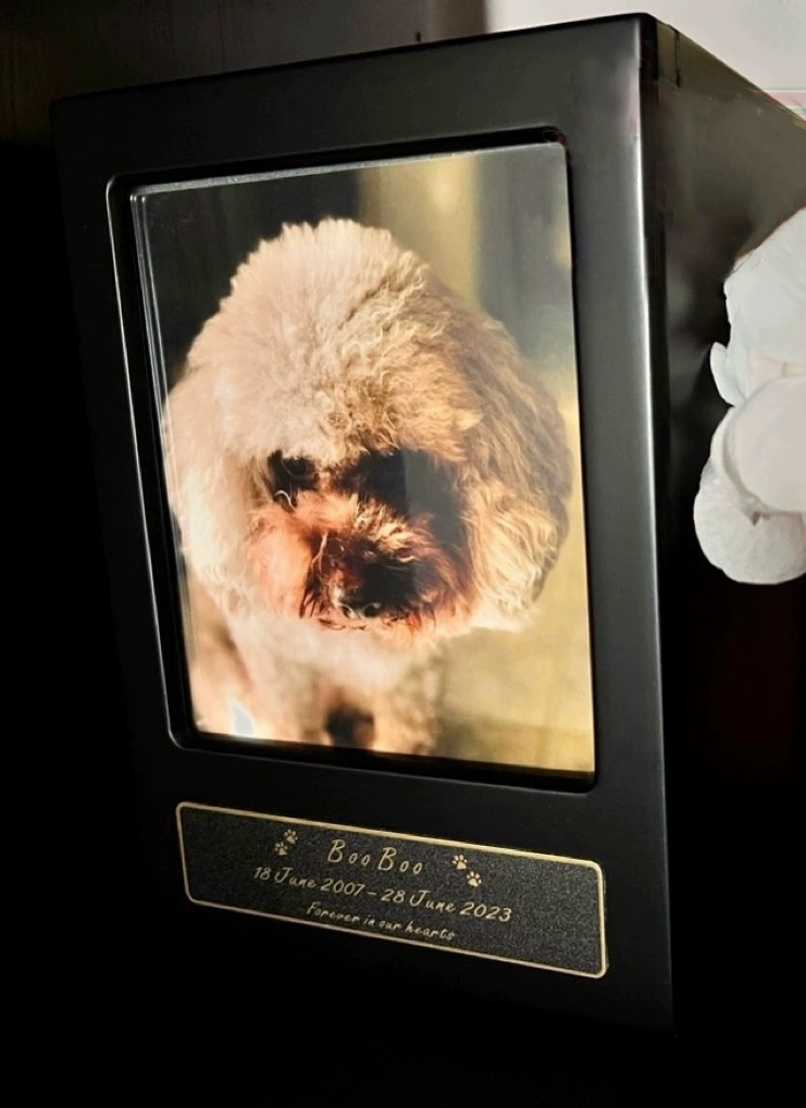 Laser-engraved with their name Personalized Pet Memorial Box