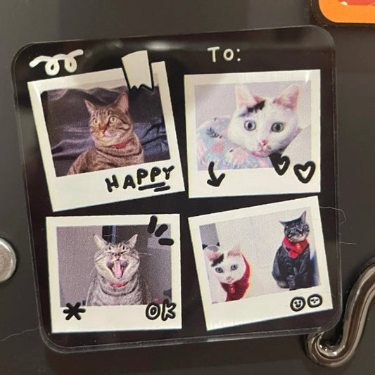 Fridge magnet with four photos of cats and text on a black surface