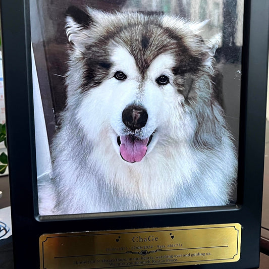 A custom wooden pet ashes box with a photo frame displaying an image of a dog.