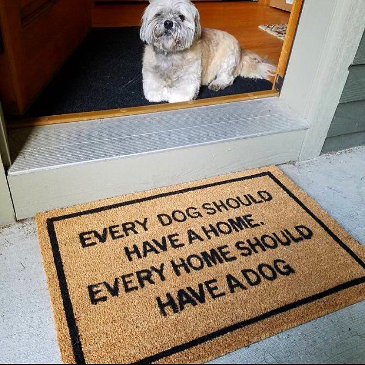 Custom Pet Photo Coir Doormat - Petomise NZ