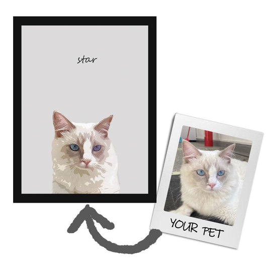 Custom Pet Portrait Art - Contemporary Style - Petomise NZ