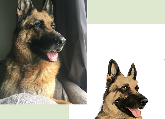 10 Essential Pet Care Tips for a Healthy and Happy Fur Family