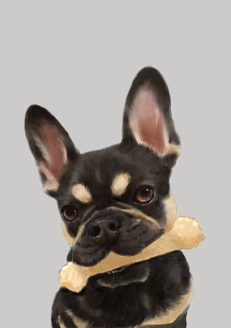 Custom Pet Portrait Art - Semi Realistic