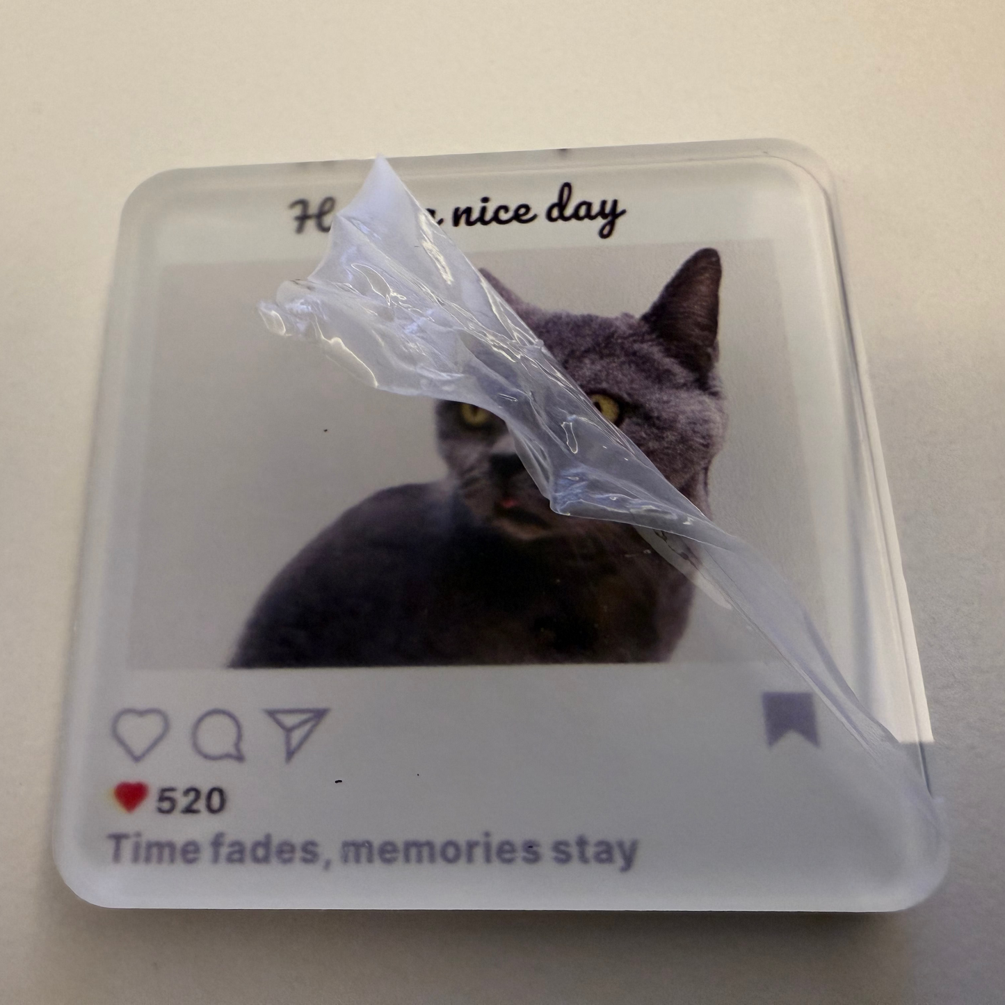 magnetwith a cat's face peering through plastic wrap on a plain background