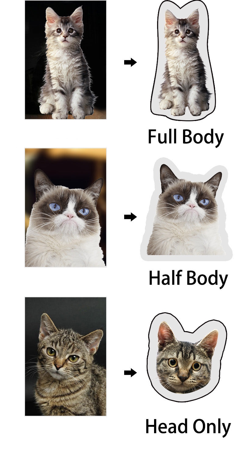 Comparison of cat illustrations with different body parts shown.