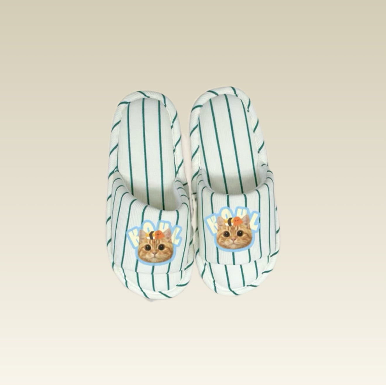 Pair of striped slippers with cartoon cat faces 