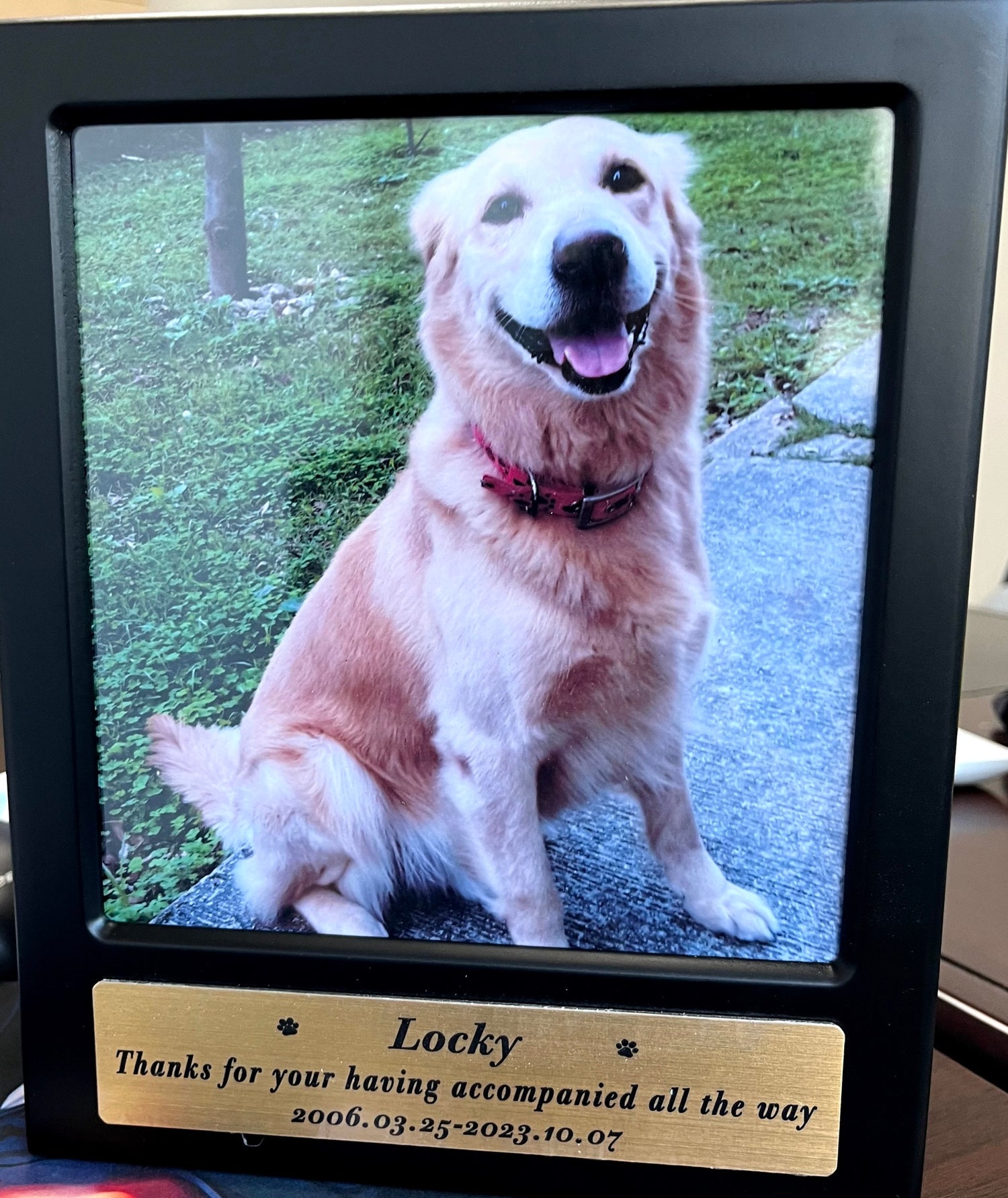 Holds Ashes Safely While Keeping Their Memory Alive. Free Personalization.