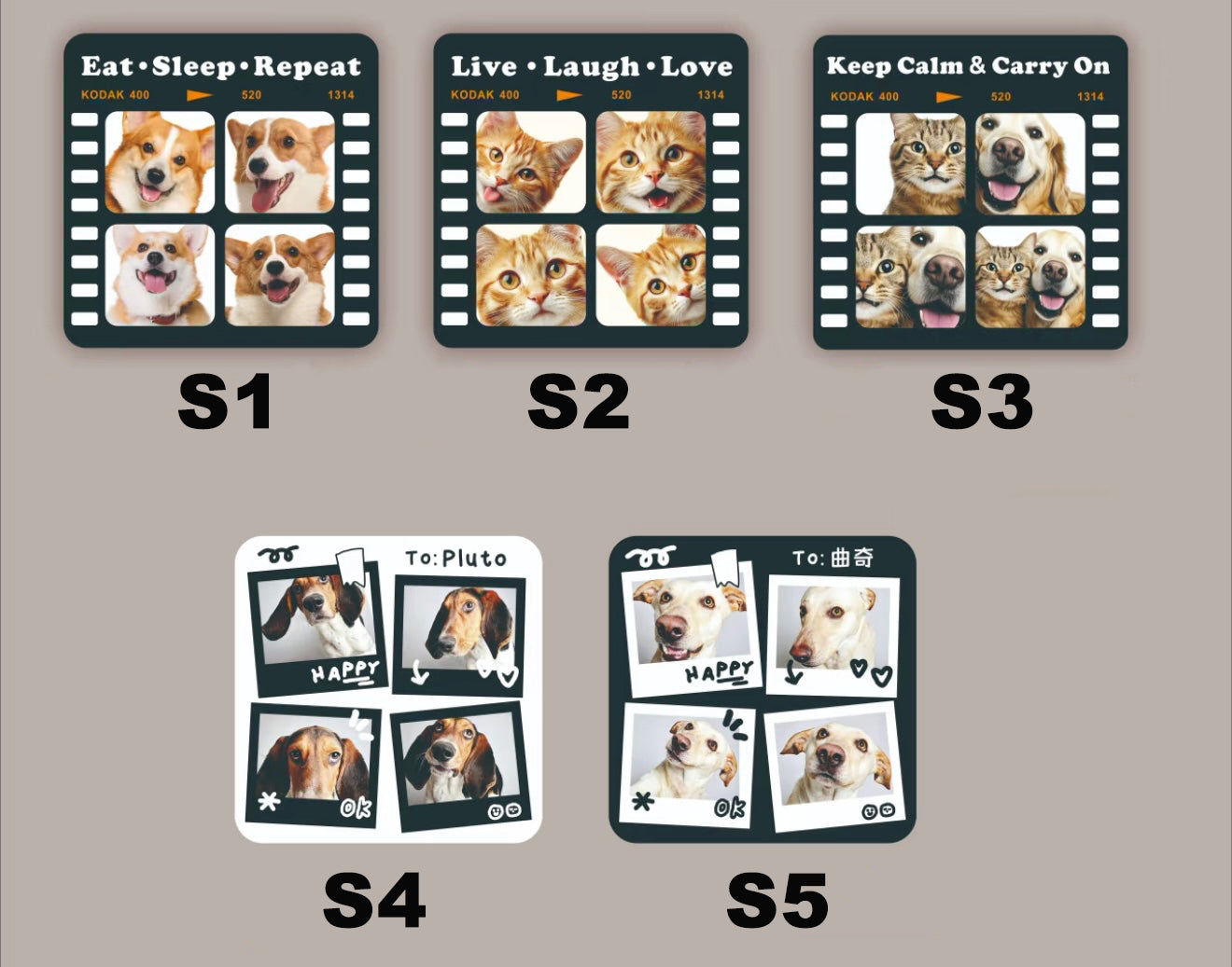 Five sets of animal-themed cards with images of dogs and cats on a gray background.