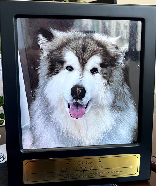 Custom Wooden Pet Ashes Box With Photo Frame