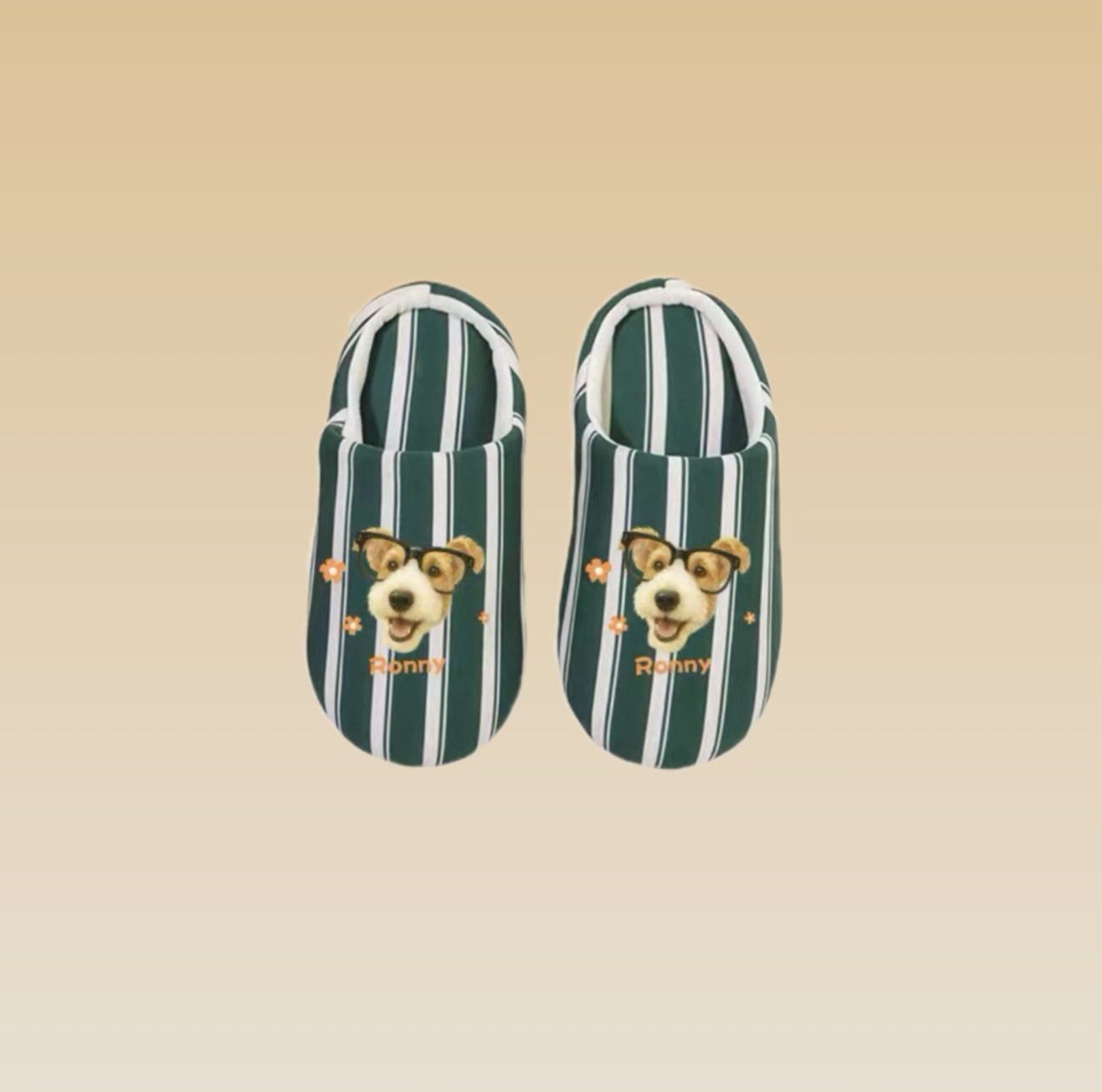 green and white striped slippers with a dog