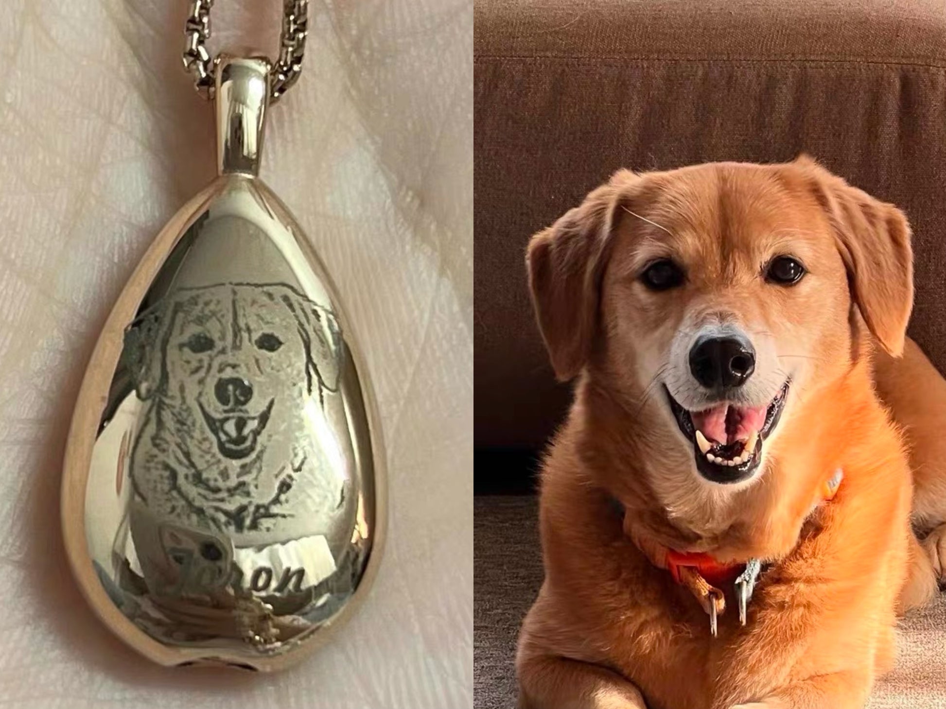 Teardrop-shaped pendant with engraved dog's face next to a happy dog