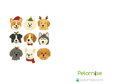 Illustrations of dogs wearing festive hats and scarves on a white background with 'Petomise' branding.