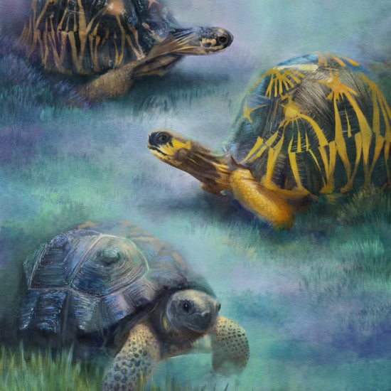 semi-realistic watercolor portraits from petomise