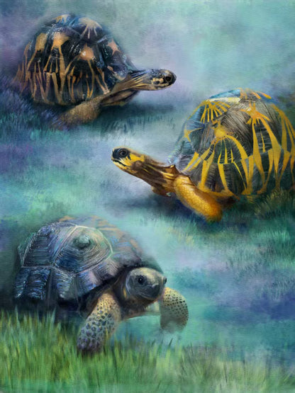 Three turtles on a grassy field with a blurred background