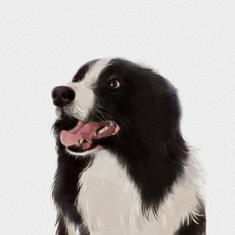 Custom Pet Portrait Art - Semi Realistic