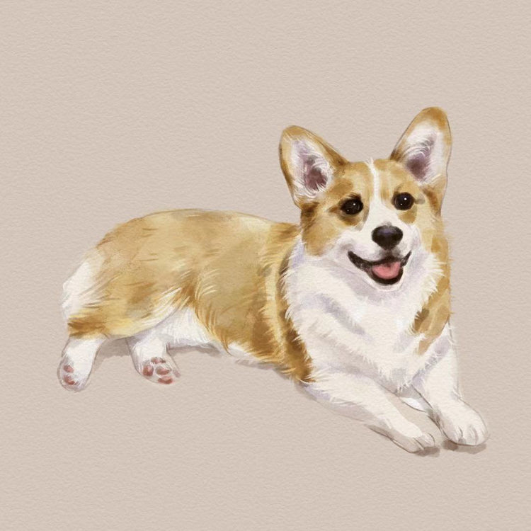 Custom Pet Portrait Art - Semi Realistic