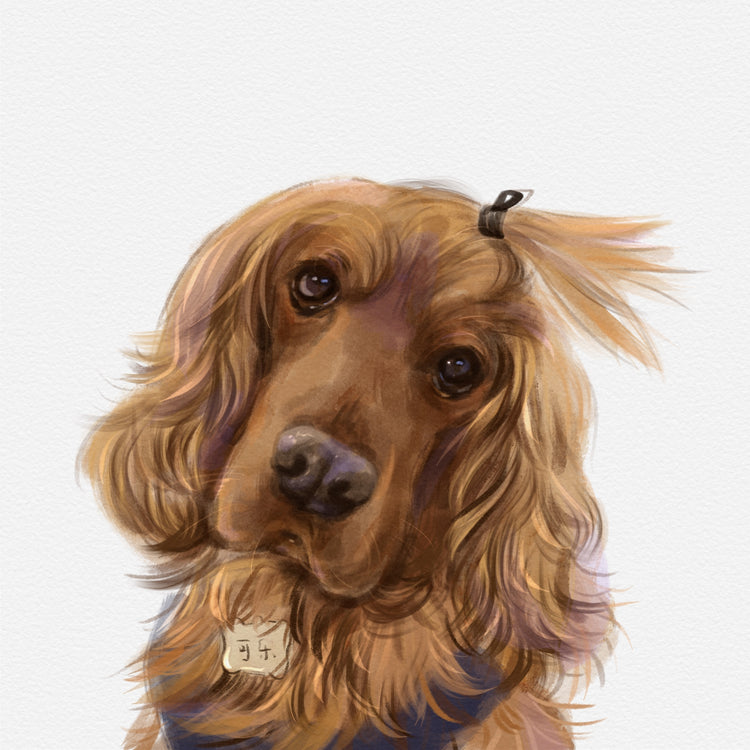 Custom Pet Portrait Art - Semi Realistic