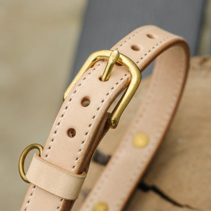 Custom Dog/Cat Genuine Leather Collar & Tag - Petomise NZ