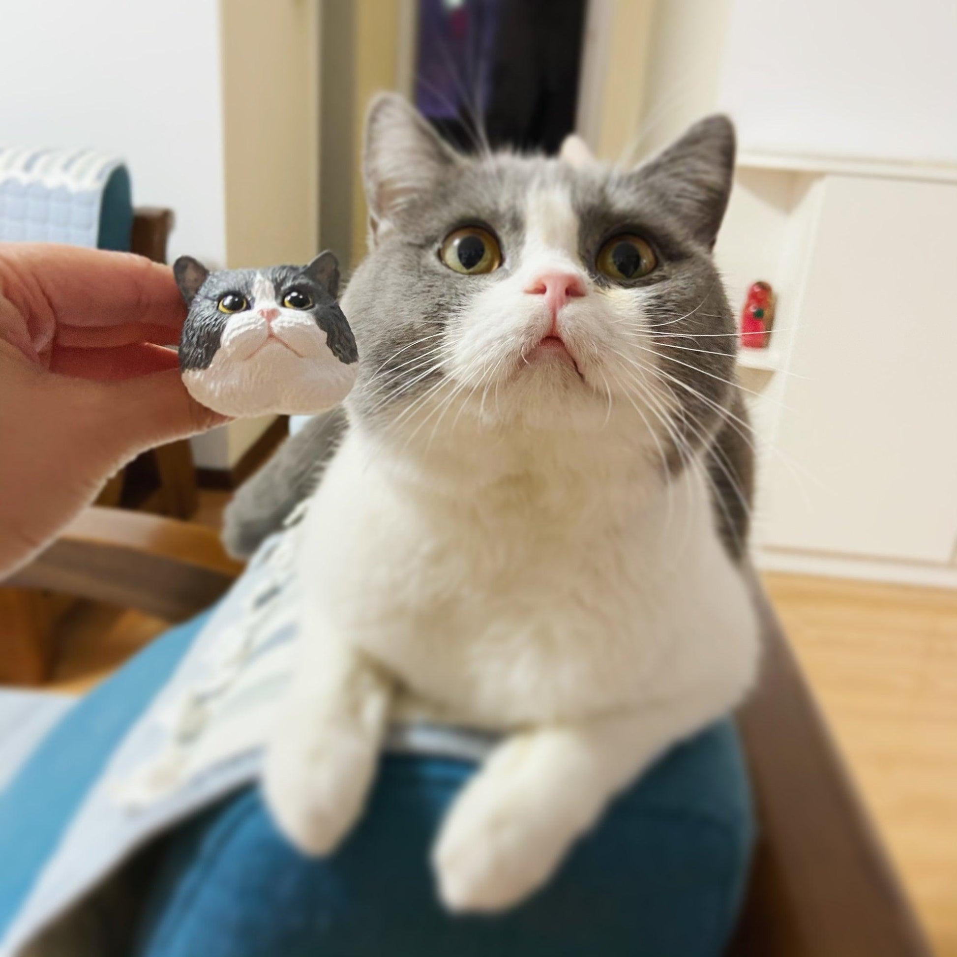 Custom Pet Photo Face Car Freshener - Petomise NZ