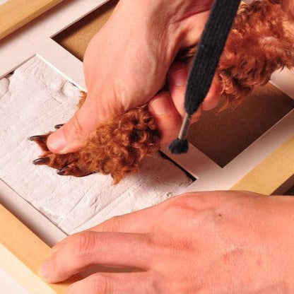 Pet Paw Prints Keepsake Photo Frame - Petomise NZ