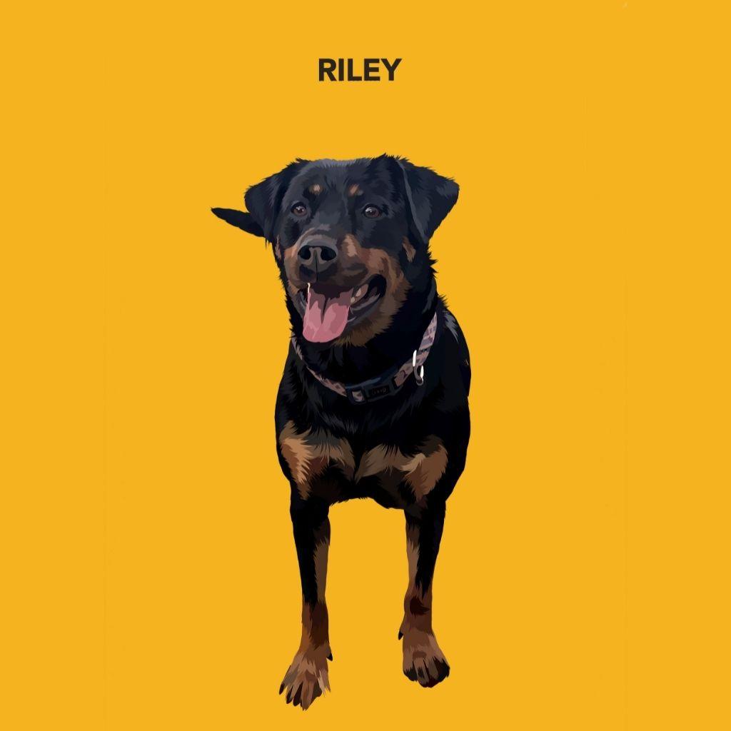 Custom Pet Portrait Art - Contemporary Style - Petomise NZ