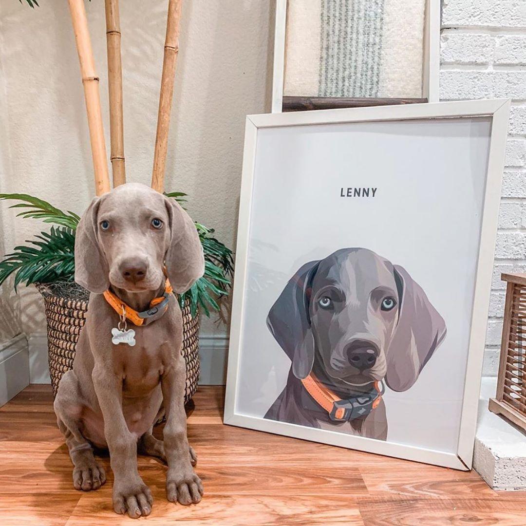 Custom Pet Portrait Art - Contemporary Style - Petomise NZ