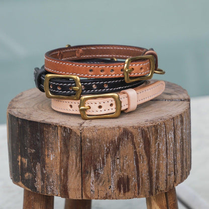 Custom Dog/Cat Genuine Leather Collar & Tag - Petomise NZ