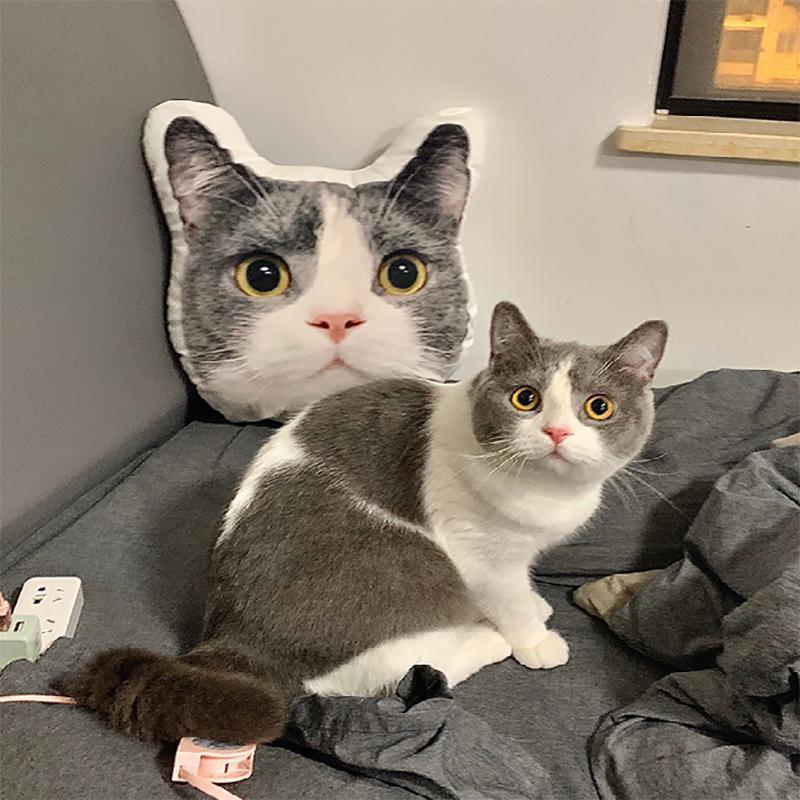 Custom Pet Cushion 3D - Personalised with Photos - Petomise NZ