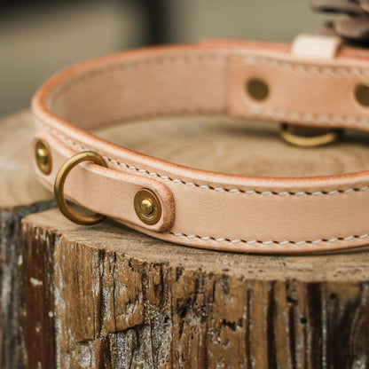 Custom Dog/Cat Genuine Leather Collar & Tag - Petomise NZ
