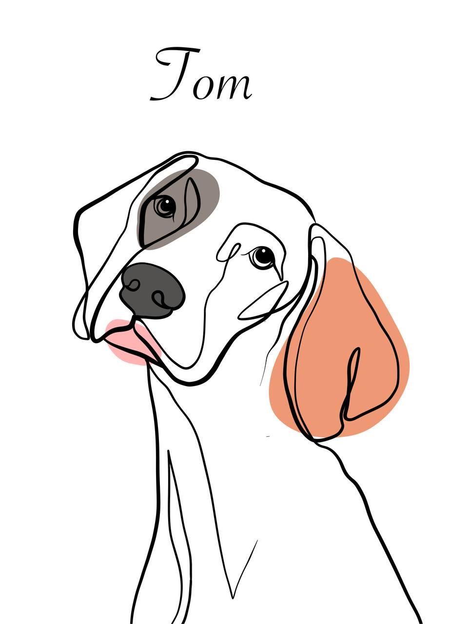 Minimalist Pet Line Art