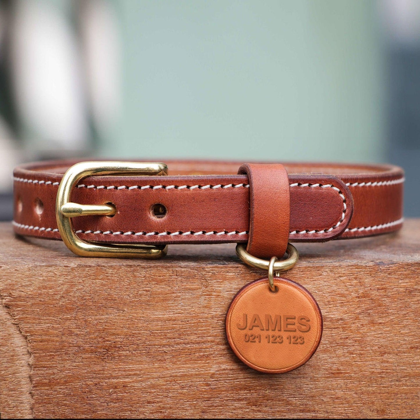 Custom Dog/Cat Genuine Leather Collar & Tag - Petomise NZ