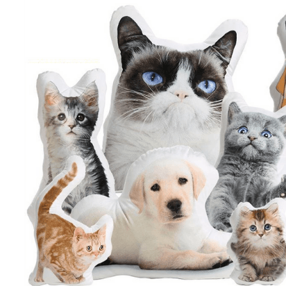 Custom Pet Cushion 3D - Personalised with Photos - Petomise NZ