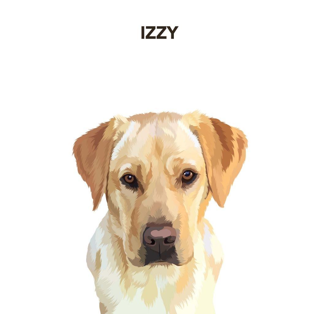 Custom Pet Portrait Art - Contemporary Style - Petomise NZ