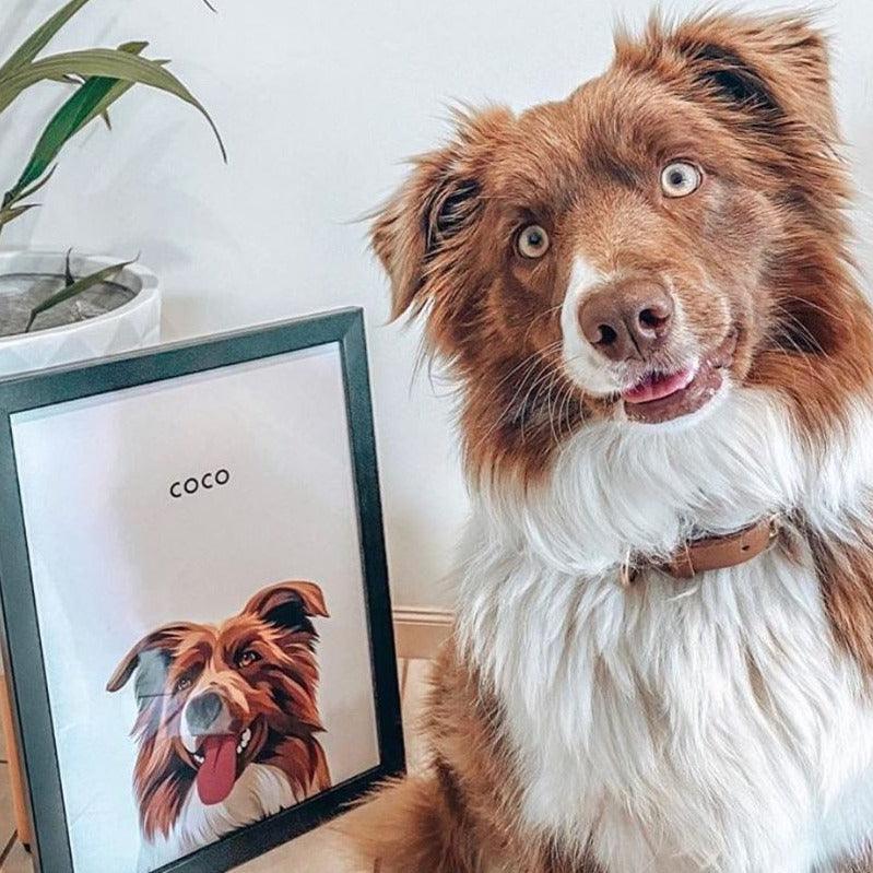 Custom Pet Portrait Art - Contemporary Style - Petomise NZ