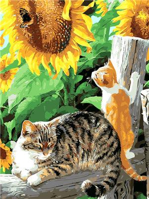 Custom Paint by Numbers Pet Portrait Kit - Petomise NZ