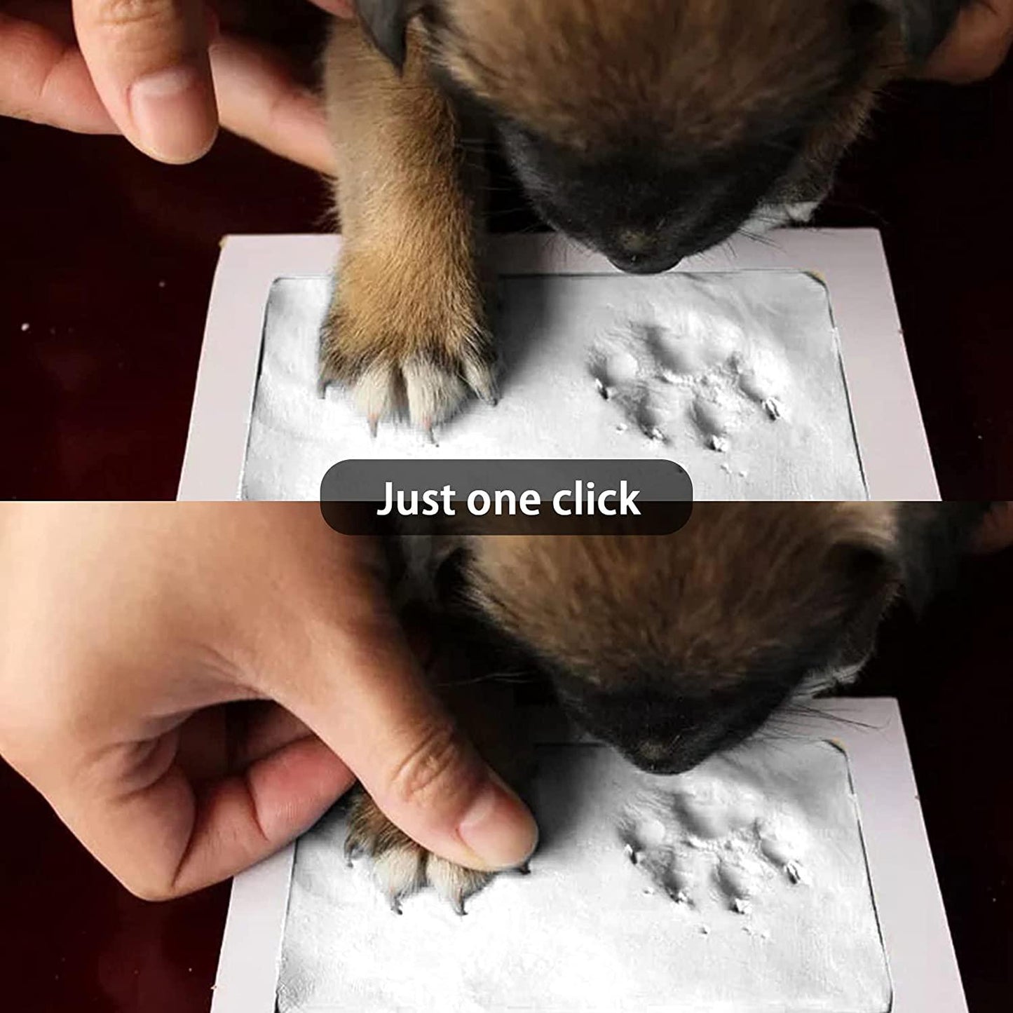 Pet Paw Prints Keepsake Photo Frame - Petomise NZ