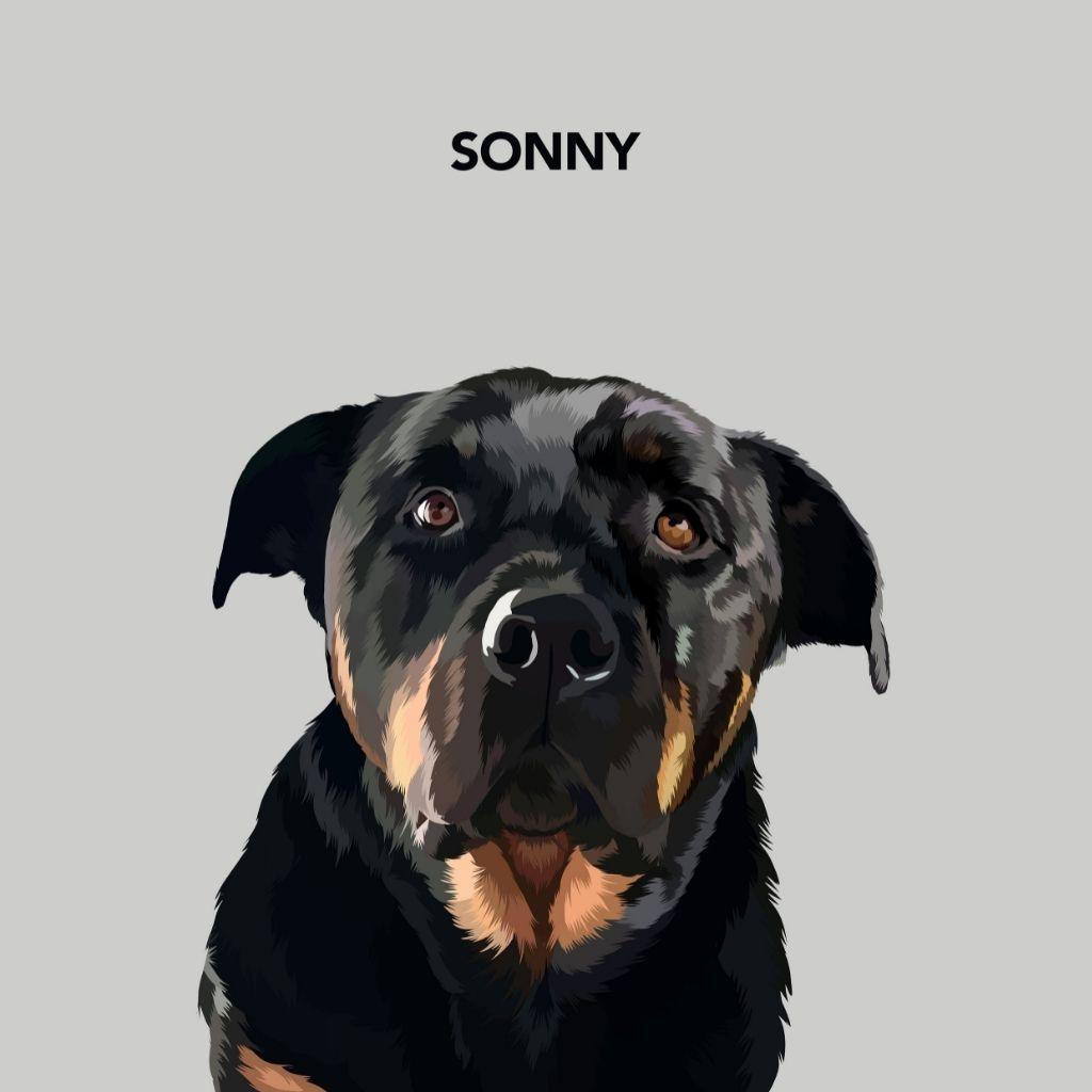 Custom Pet Portrait Art - Contemporary Style - Petomise NZ