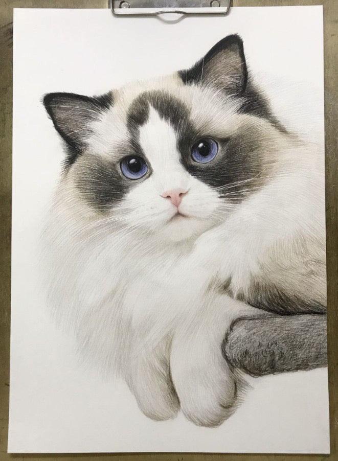 Custom Pet Portrait Art - Sketch Style - Petomise NZ